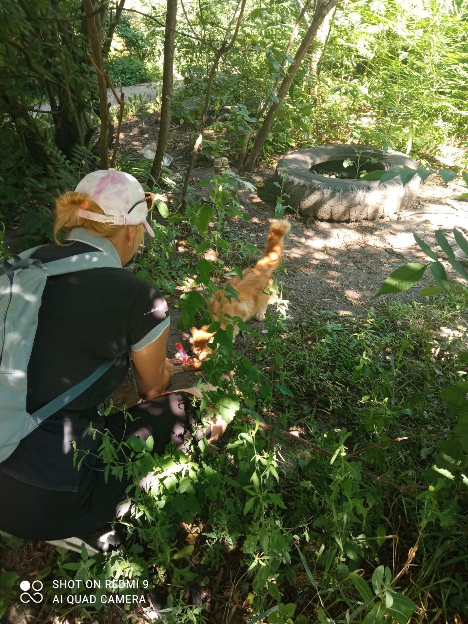 Допомога тваринам - зображення 1